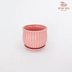 JZ-DW24147 Asst Pot