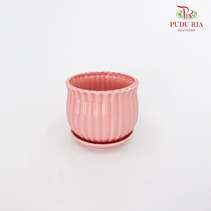 JZ-DW24147 Asst Pot