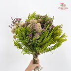 Safari Mix Cone / Cape Cone (4) - (Per Bundle)