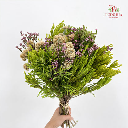 Safari Mix Cone / Cape Cone (4) - (Per Bundle)