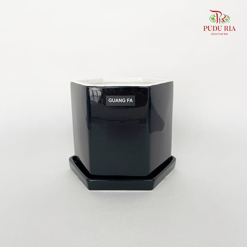 GF8116-2 Black Pot