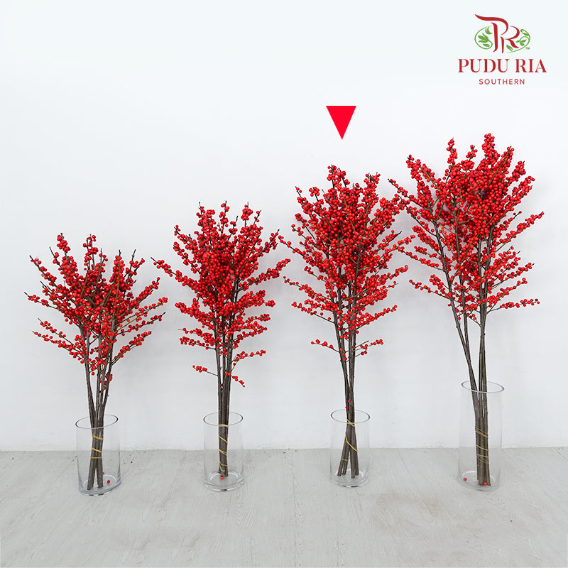 Ilex Purpurea Hassk Red - (5 Stems)
