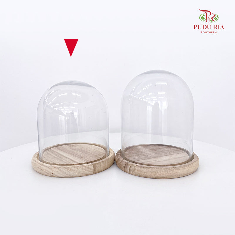 Cloche Bell Jar (16CM - 18CM)