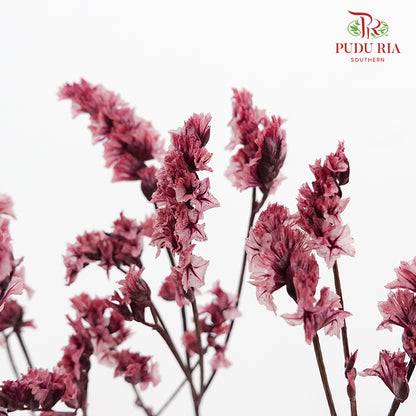 Dry Caspia - Red Wine