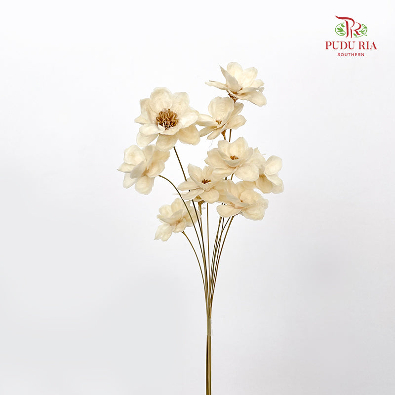 Dry New Wax Flower - Natural