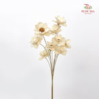 Dry New Wax Flower - Natural
