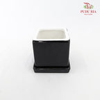 Asst Pot - Black
