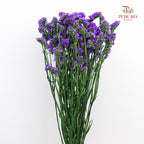 Dry Statice - Purple