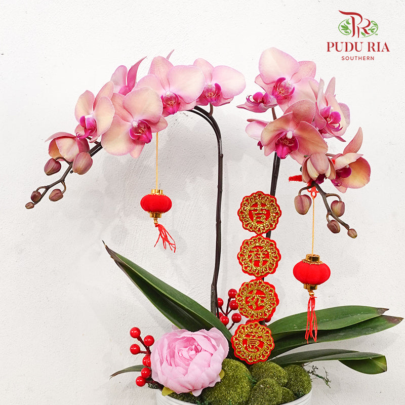 CNY Potted Plant Arrangement 2024#76