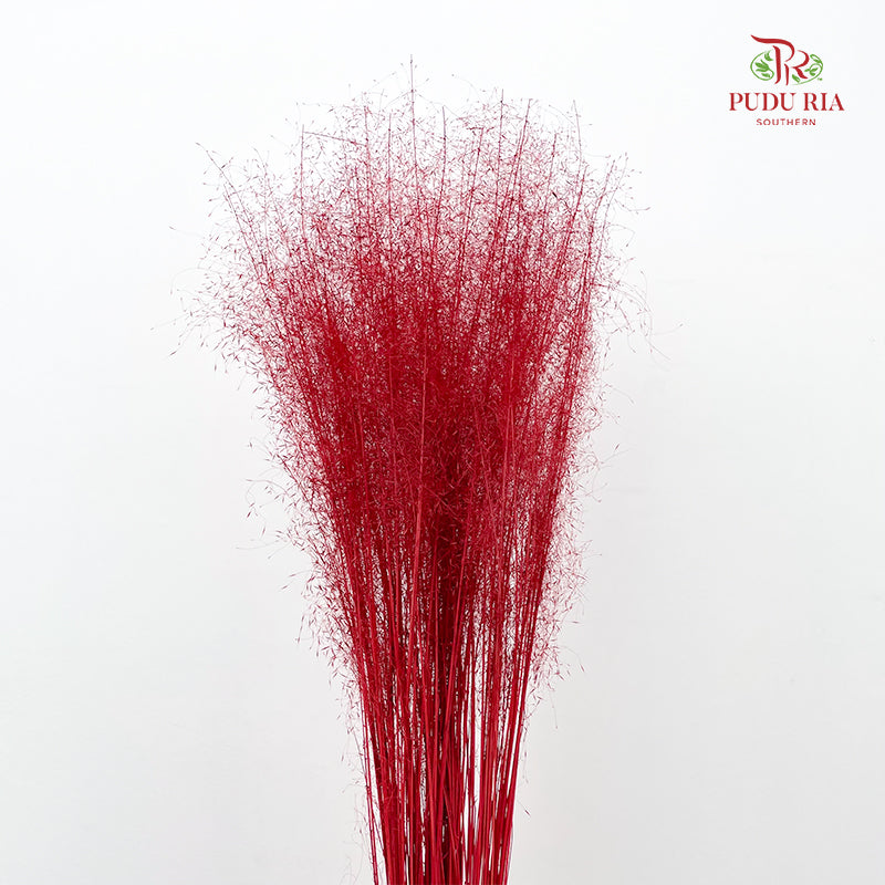 Preservative Muhlenbergia Capillaris