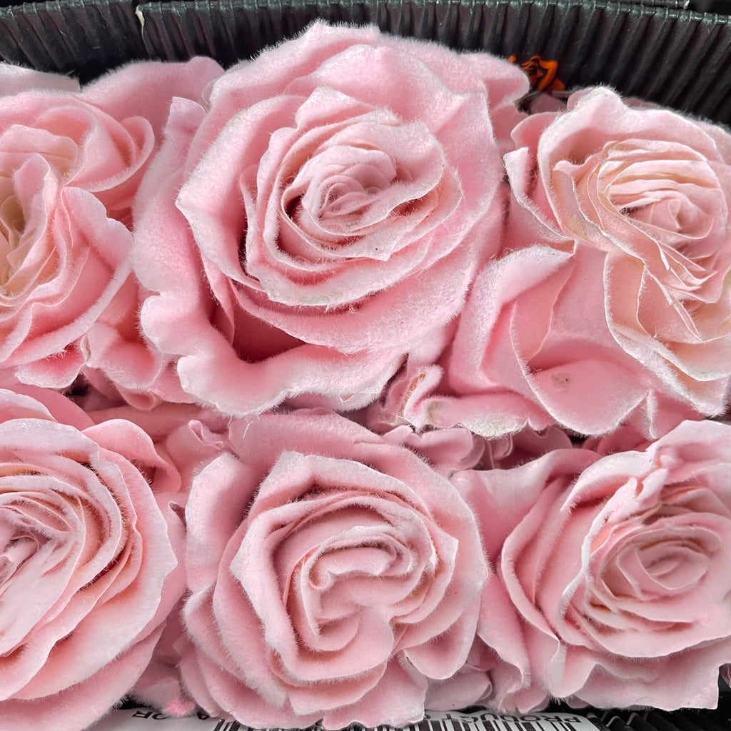 Rose Mondial Dyed Velvet Rose Gold - (8-10 Stems)