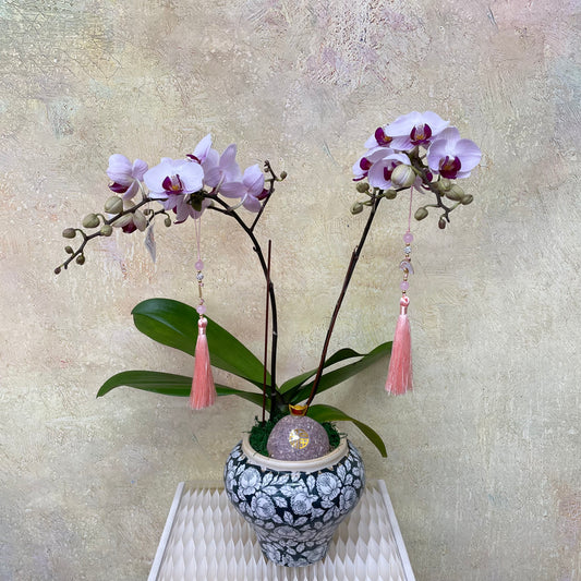 CNY Phalaenopsis Arrangement 2025 #8