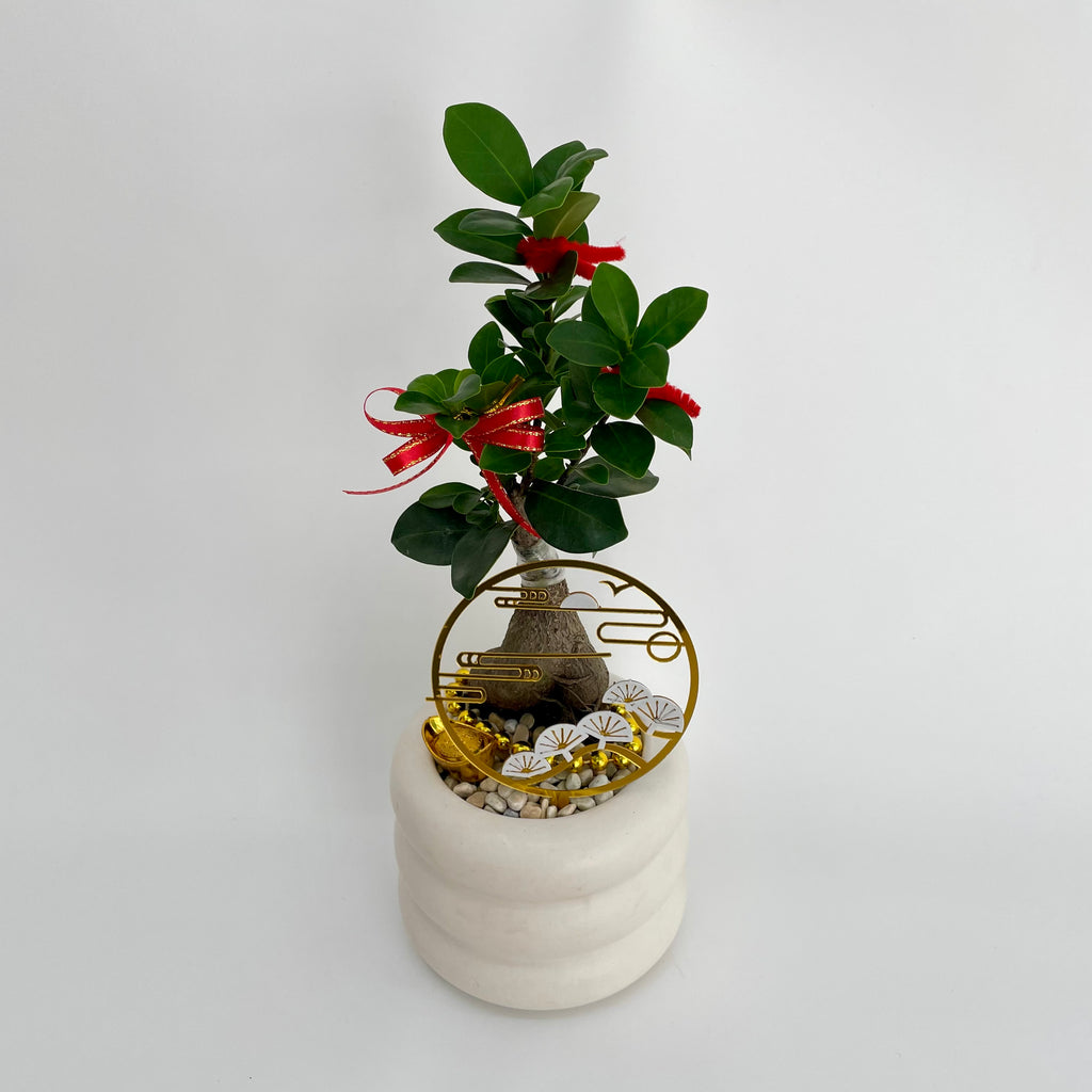 CNY Potted Plant Arrangement 2025#35