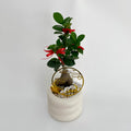 CNY Potted Plant Arrangement 2025#35