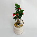 CNY Potted Plant Arrangement 2025#35