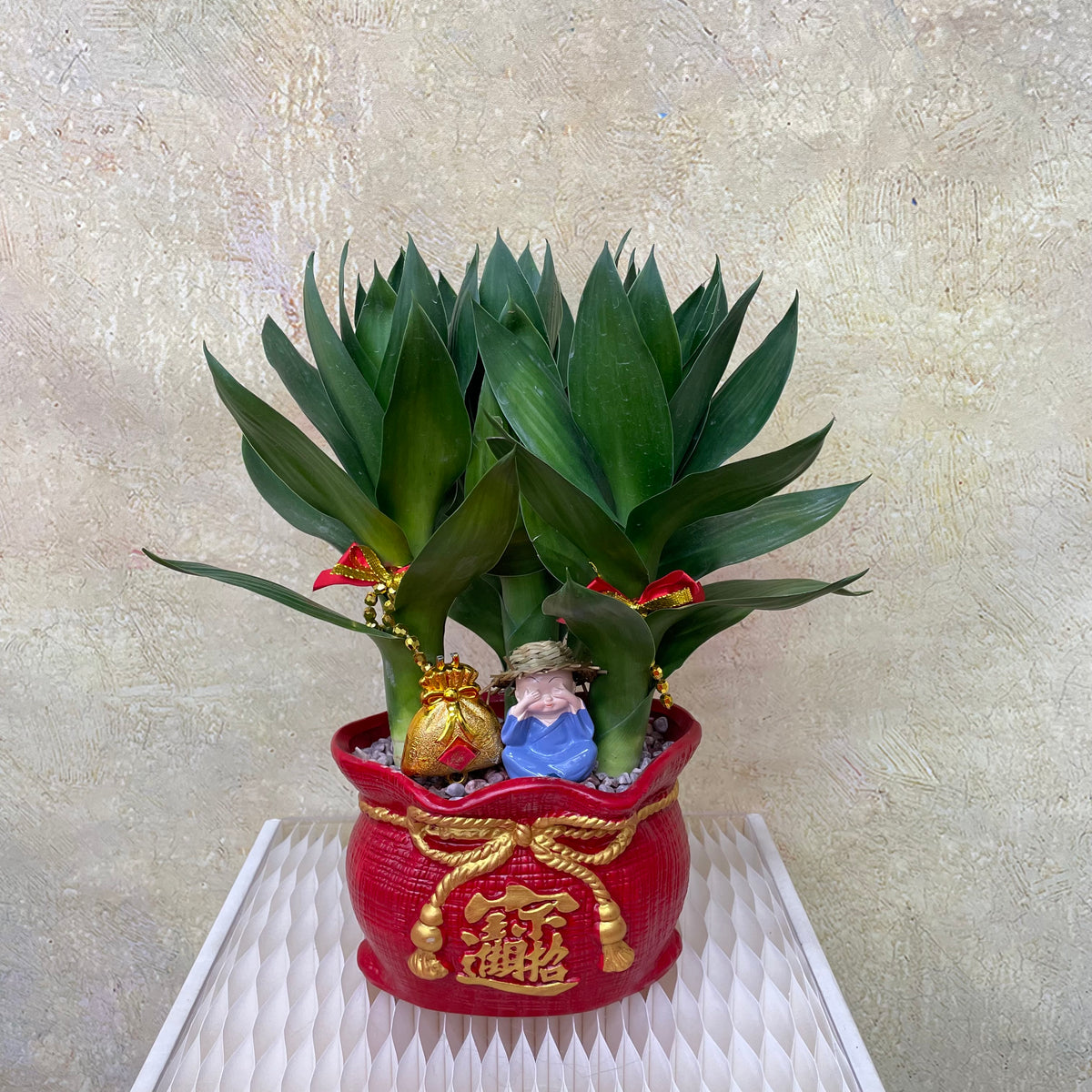 CNY Potted Plant Arrangement 2025#50