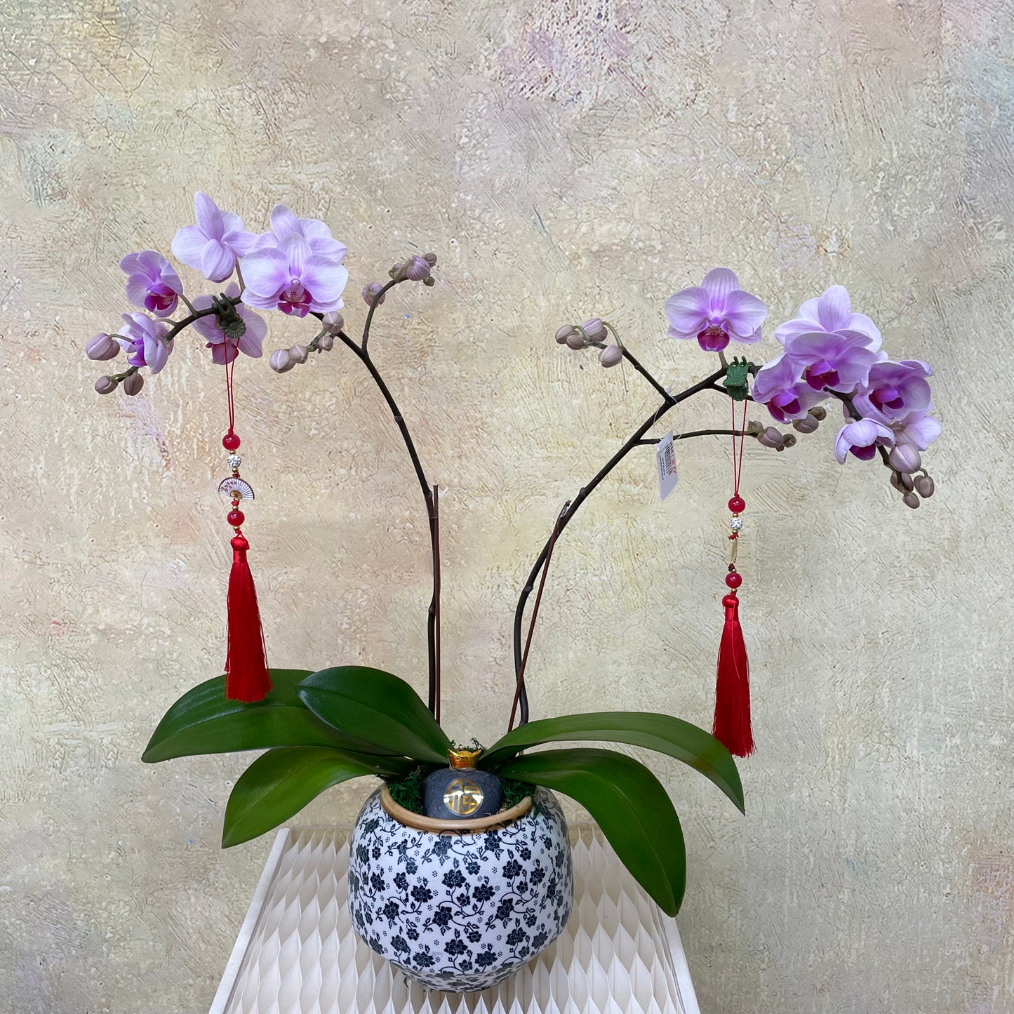 CNY Phalaenopsis Arrangement 2025 #8