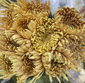 Net Mum Chrysanthemum Brown - (10-12 Stems)