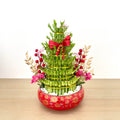 CNY Arrangement 2025 #33