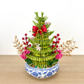 CNY Arrangement 2025 #34