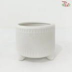 DS-1020-2C Asst Pot