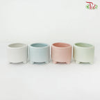 DS-1020-2C Asst Pot