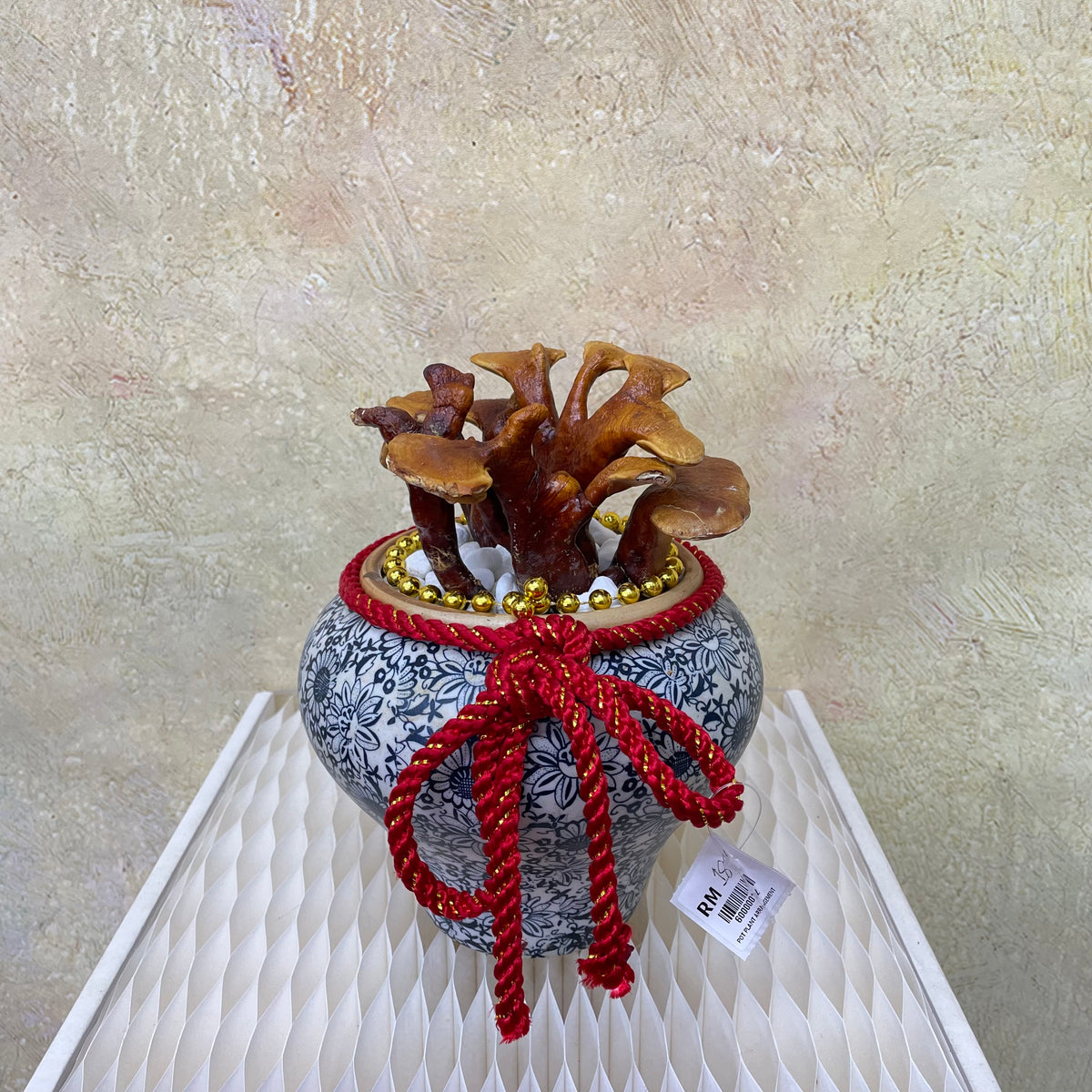 CNY Potted Plant Arrangement 2025#51