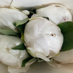 Peony White 芍药 - (5 Stems)