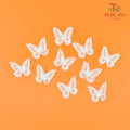 Lace Butterfly - FBA064 - Pudu Ria Florist Southern