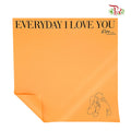 Everyday I Love You - FPL101