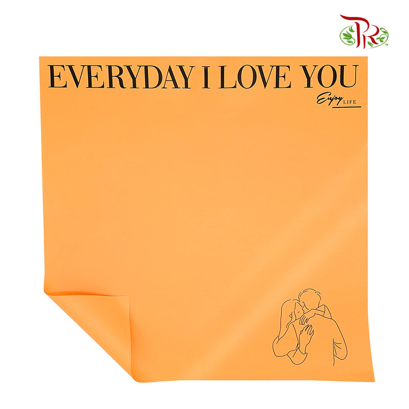 Everyday I Love You - FPL101