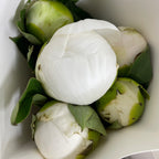 Peony White 芍药 - (5 Stems)