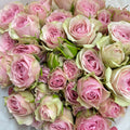 Rose Spray Sanoli - (8-10 Stems)