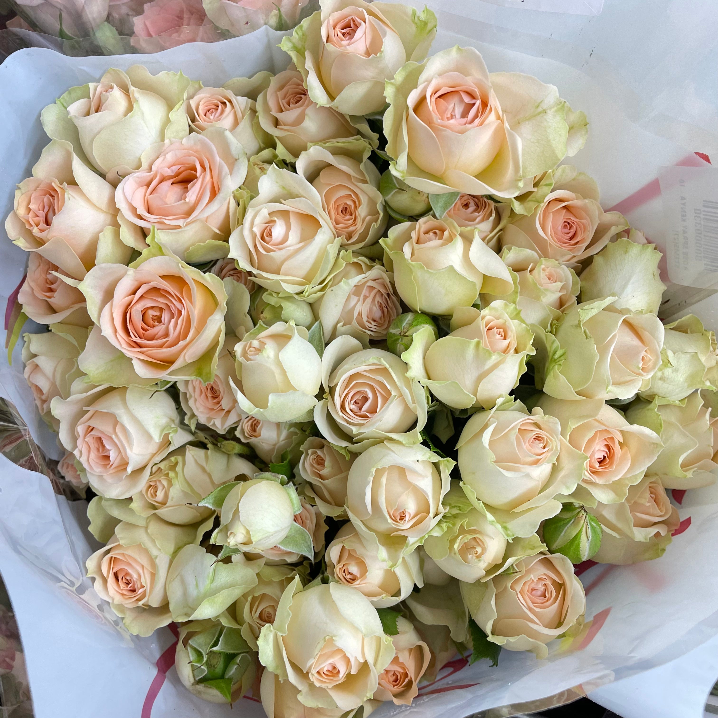 Rose Spray Sancerre - (8-10 Stems)