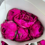 Peony Purple 芍药 - (5 Stems)