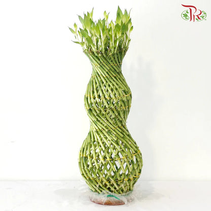 Hulo Bamboo 葫芦竹