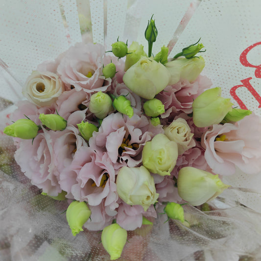 Eustoma Apricot - (12-15 Stems)