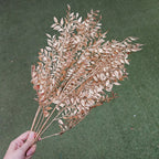 Gold Fern Leaf (2 stems)