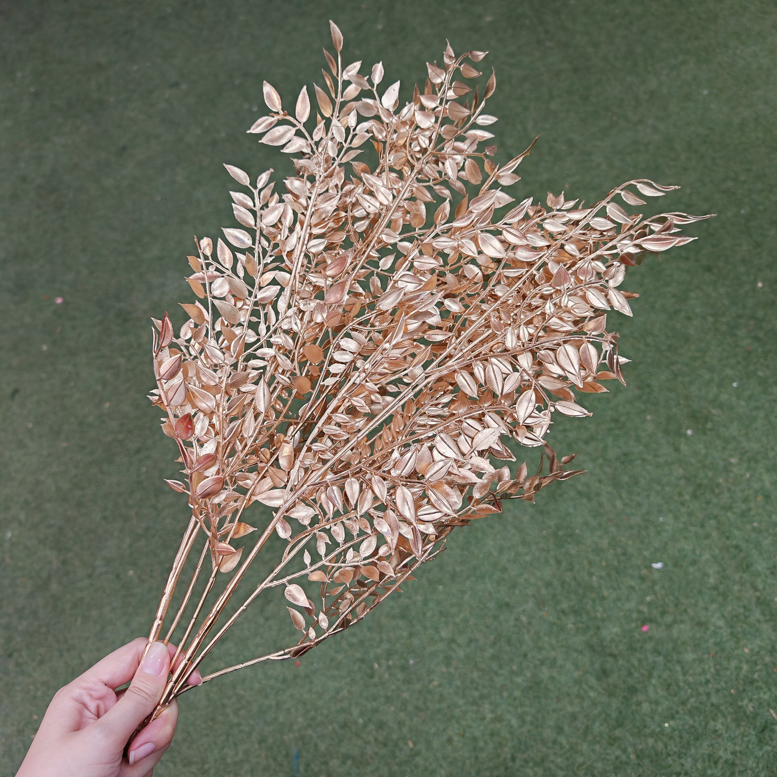 Gold Fern Leaf (2 stems)