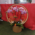 CNY Potted Plant Arrangement 2024#90