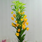 Sandersonia Aurantiaca 宫灯百合 - (2 Stems)