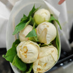 Peony Sunshine Girl 阳光女孩芍药 - (5 Stems)