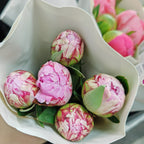 Peony Sara Pink - (5 Stems)