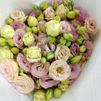 Eustoma Champagne - (12-15 Stems)
