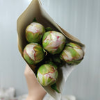 Peony White 芍药 - (5 Stems)