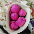 Peony Hart - (5 Stems)