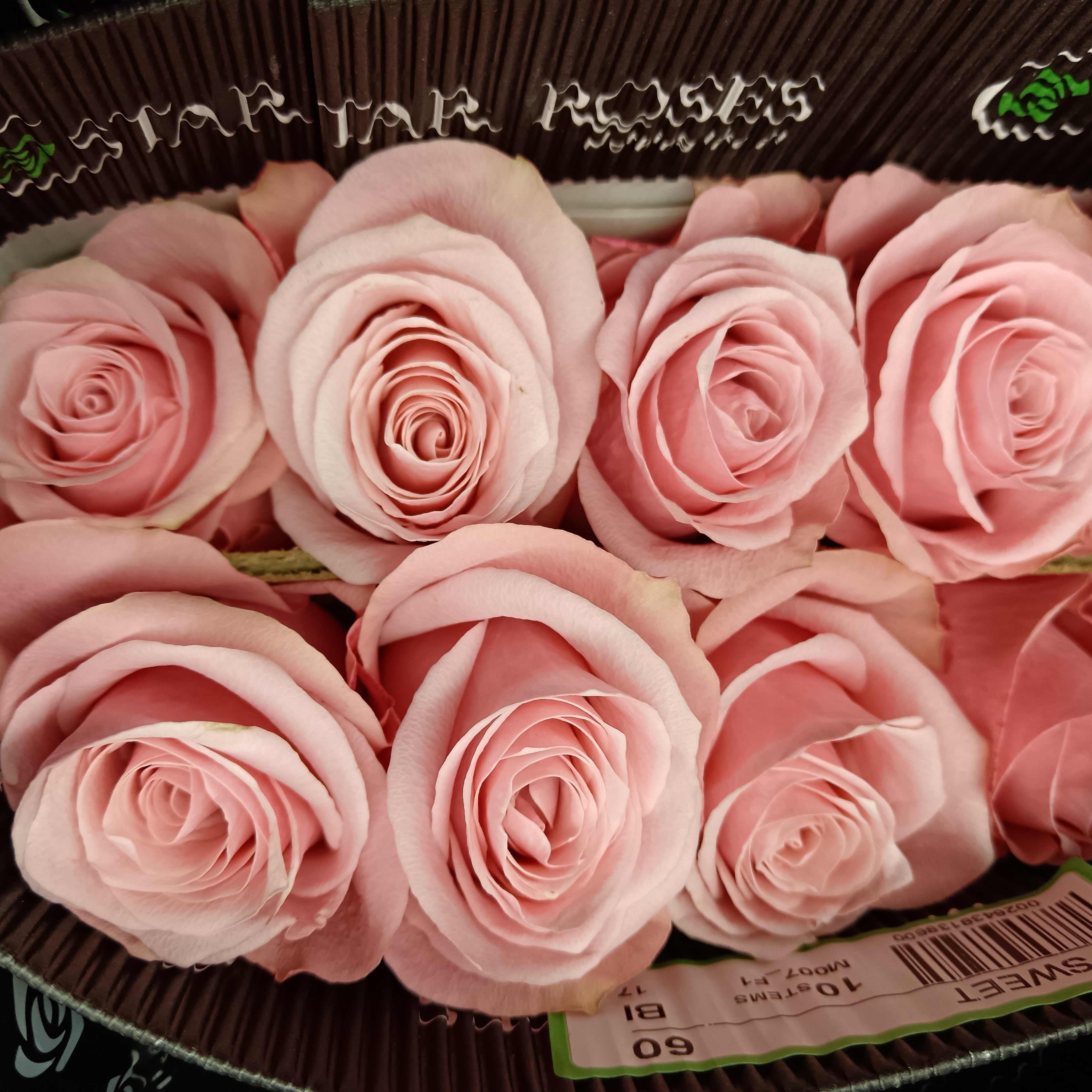 Rose Be Sweet - (8-10 Stems)