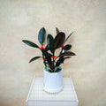 CNY Potted Plant Arrangement 2025#53