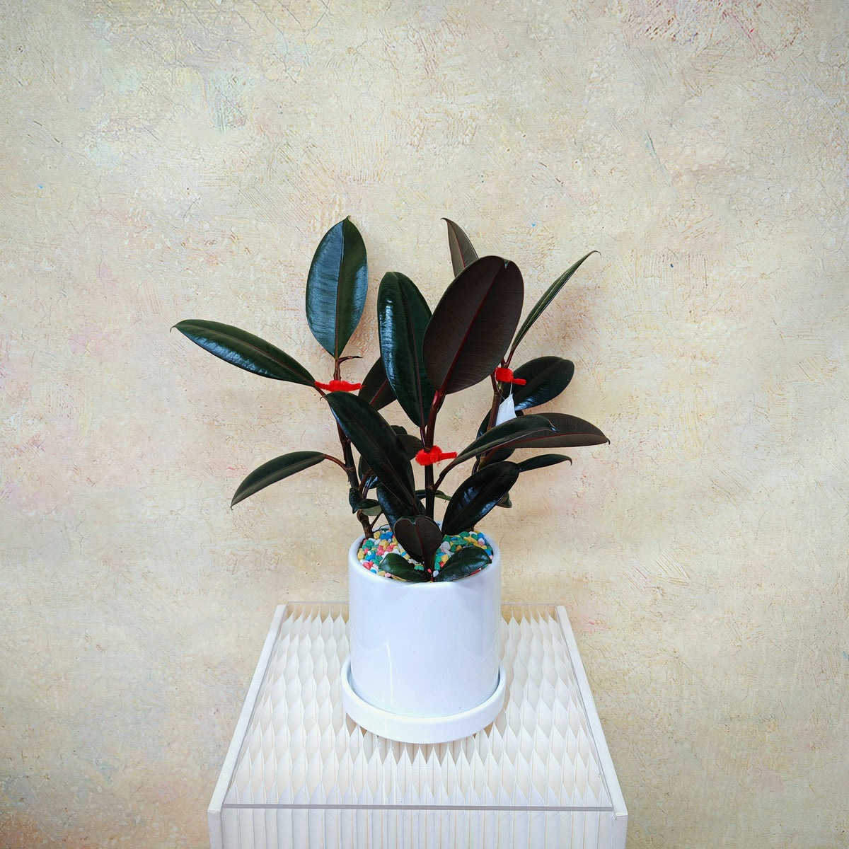 CNY Potted Plant Arrangement 2025#53
