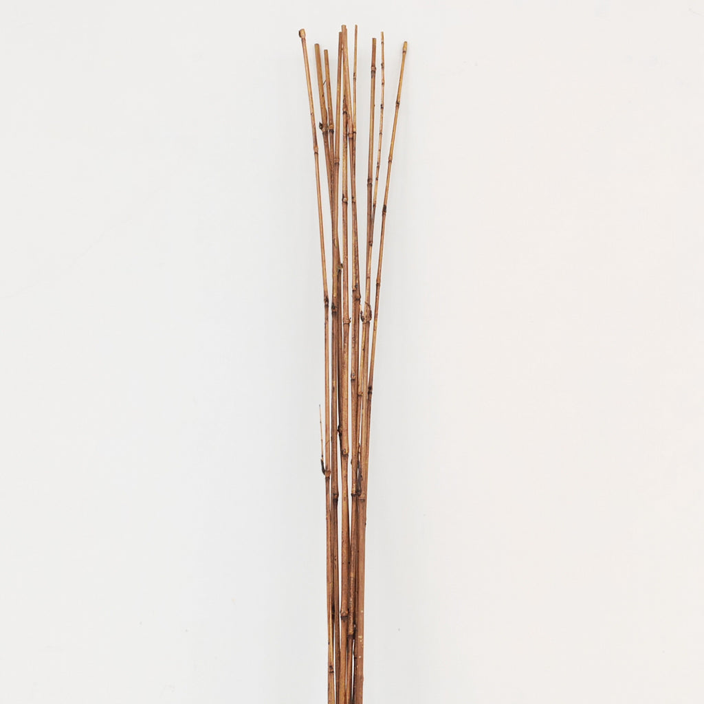 Brown Bamboo